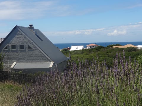On the greenbelt, overlooking the ocean