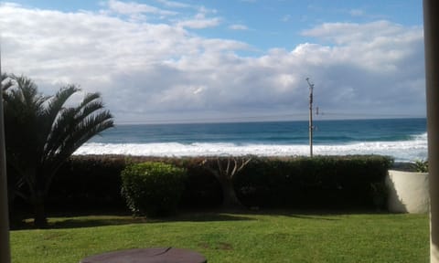 THE VIEW FROM THE APARTMENT.