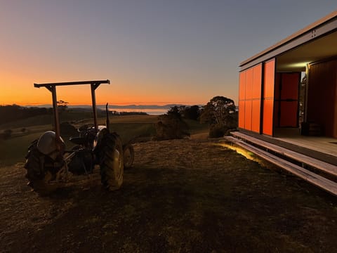 Orange House