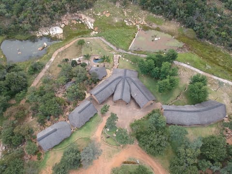 Drone Overview
