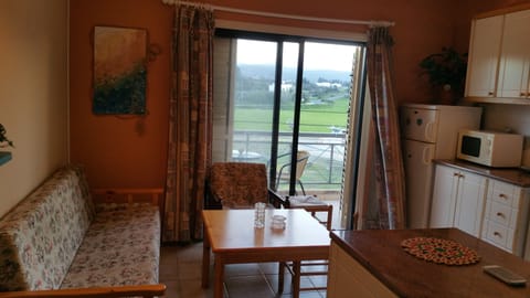 Living Room-Kitchen Area