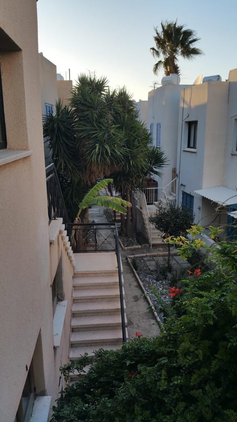 View of the complex from stairs