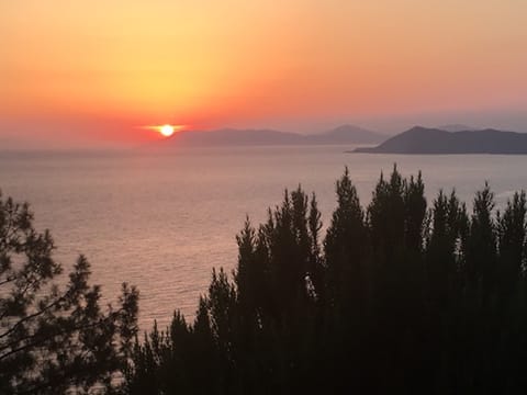 sunset from balcony 