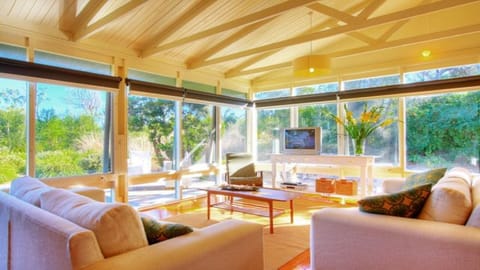 Sun filled living areas