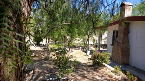 Trees around the house
