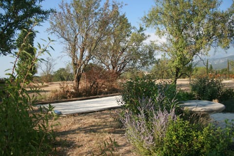 Boule terrain and top terrace