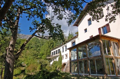 The double height conservatory is shaded by 300 year old oaks