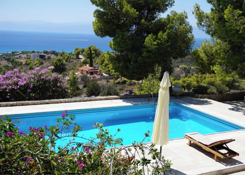 A swimming pool with a view