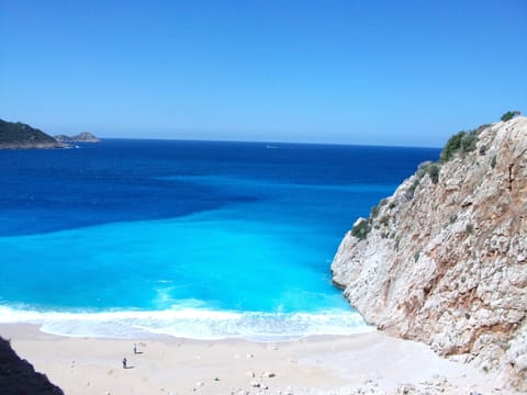 Local Beach