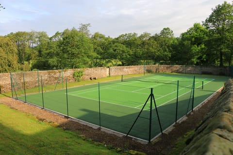 Sport court