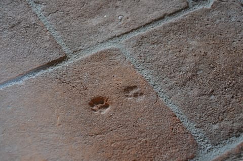 Interior detail