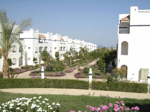 Garden, Park