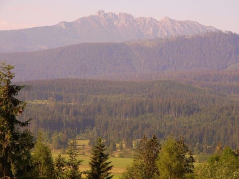 Panoramic view from balcony