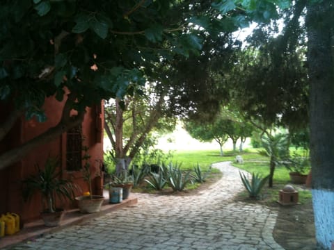 Property grounds