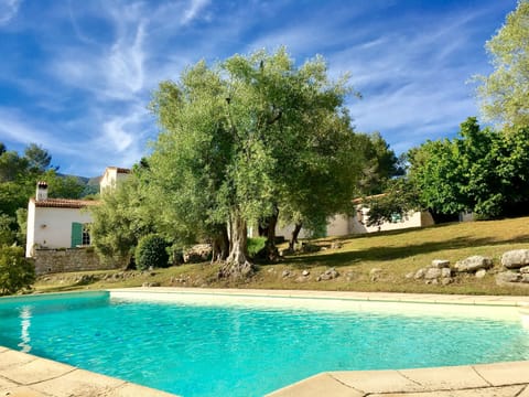 Calm, provencal beauty, cicadas song...