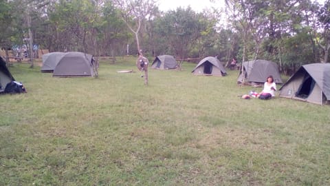 Camping Grounds