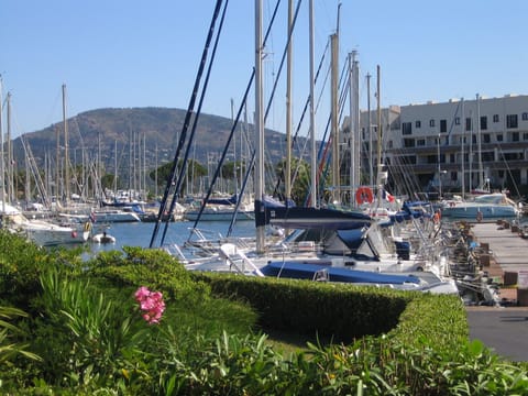 Marina