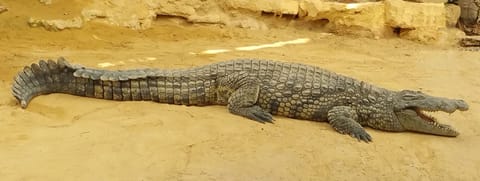 Have a good holiday in the Ardèche gorges Cottage in Vallon-Pont-d'Arc