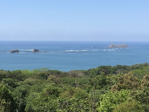 National Marine Park Ballena.