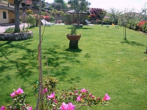 The Garden