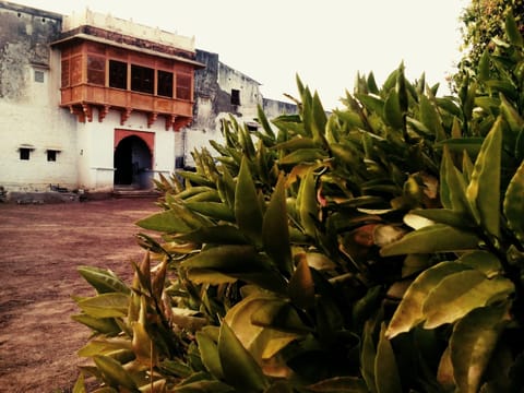 Property grounds