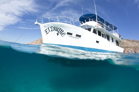 Your floating home