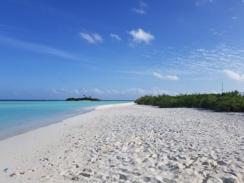 Picnic island