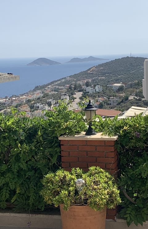 View from pool terrace 