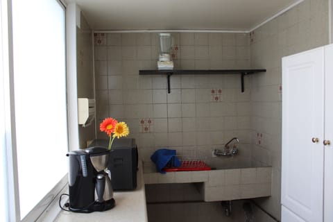 Practice Linear kitchen