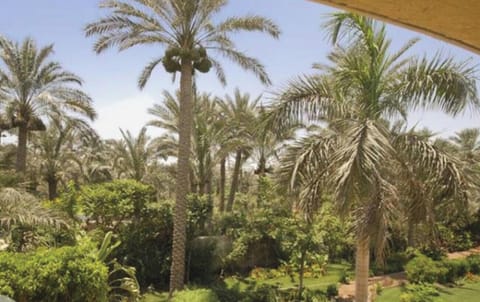 View from living room terrace