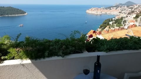 Terrace view