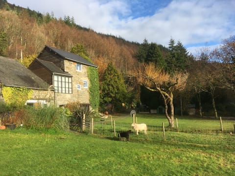 Swn y Nant looking over the garden