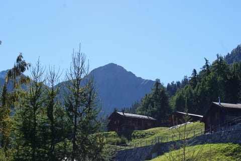 Chalet "Les Gorges de la Faraz" Chalet in Riddes