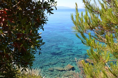 Beautiful view from the shore... Spartia Kefalonia Greece vacations