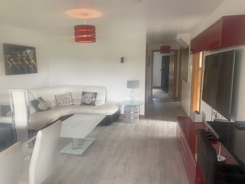 living room with 65 inch smart tv