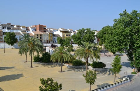 View from terrace