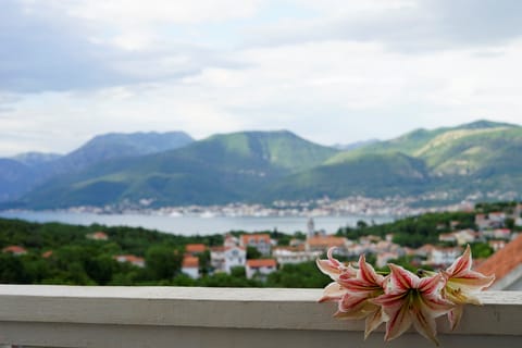 APARTMENTS BELLA VISTA