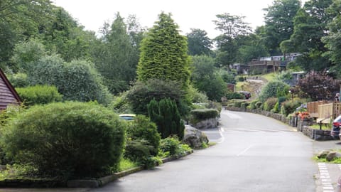 Snowdon Drive leading to chalet