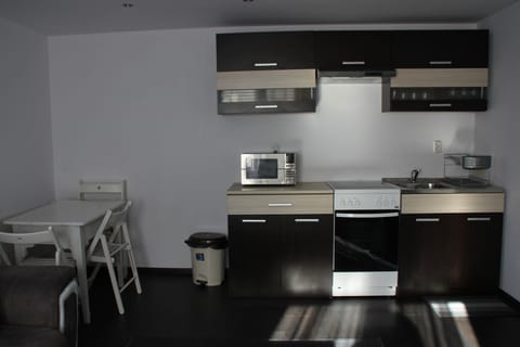 Kitchenette in the living room