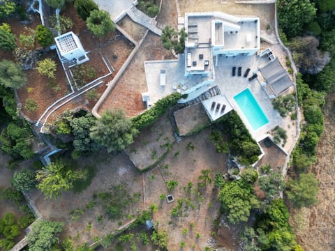 Multiple levels for dining and enjoying the views and an orange grove to explore