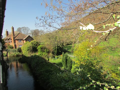View from the apartments along the tranquil river Aller, kingfisher spotting ?
