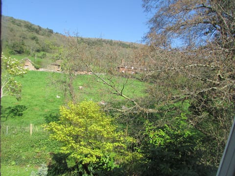 View from your lounge window. over the river and up to the tree covered hills.