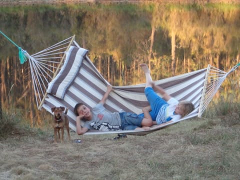 Pet-friendly
