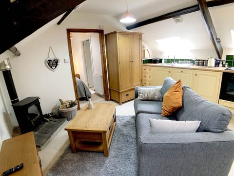 Log burner comes set up ready to light and with a basket of logs included.