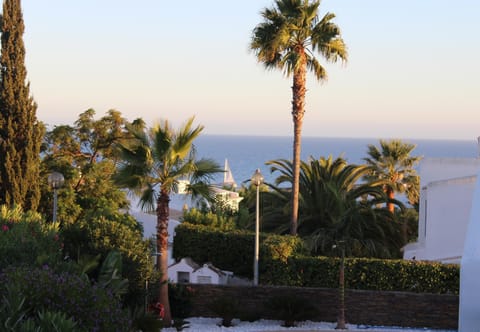 Sea view from garden