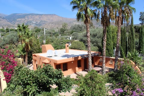 Alcazaba taken from Veleta roof terrace looking northwest