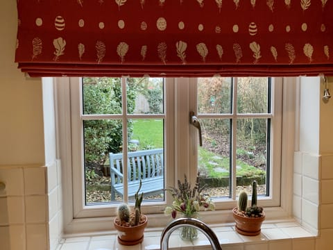 Garden view from new kitchen windows.