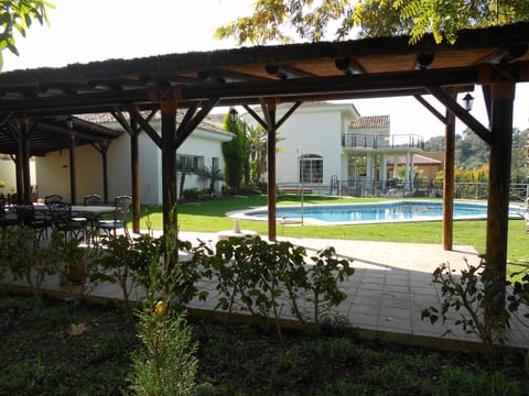 Pergola/barbecue area in upper garden