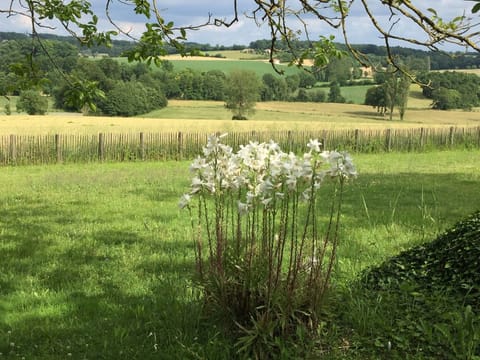 Dordogne view