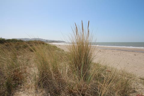 The wild sandbeach in 
2 min walk